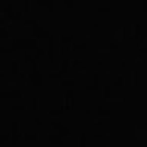 Meet your Posher, Steezy